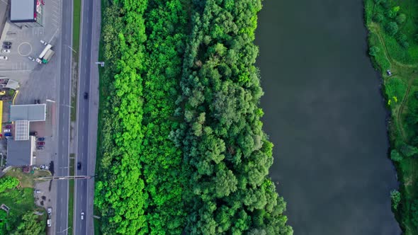 Highway River Forest and Grassland