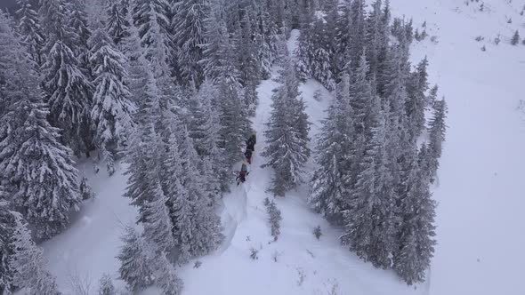 Flying Over a Group of Tourists in the Winter Mountains