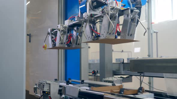 Plant Machine Puts Cardboard Onto a Conveyor