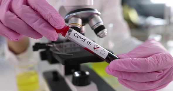 Laboratory Technician Wearing Medical Gloves Holds Positive Test for Covid 19