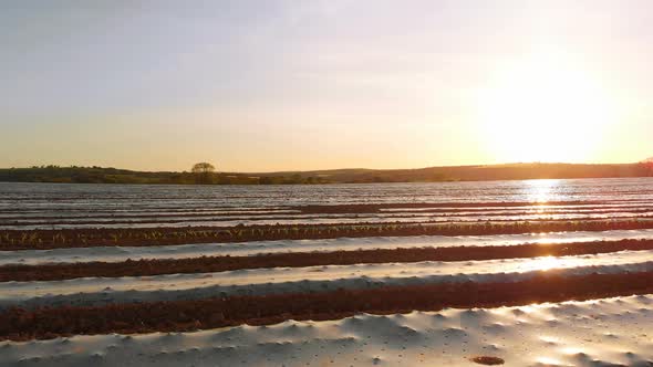 Furrows row pattern in a plowed field 4k