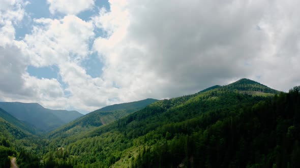 Aerial Drone View. Green Pine Forest with Canopies of Spruce Trees in Summer Mountains. V3