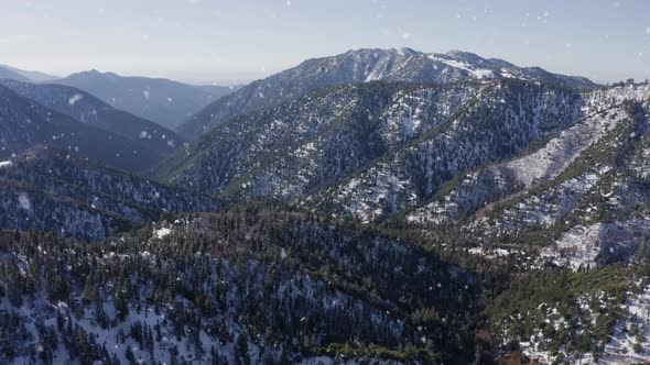 Scenic winter snowfall on mountain chain with evergreen pinewoods