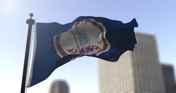 Virginia state flag waving