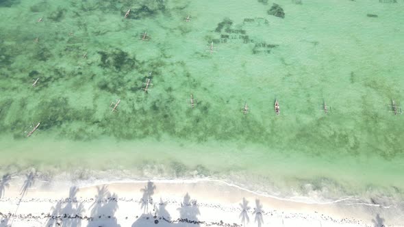 Boats in the Ocean Near the Coast of Zanzibar Tanzania Slow Motion