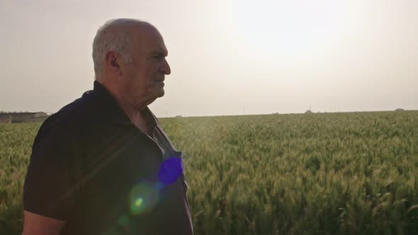 Steadycam shot of an old farmer walking in a green wheat field