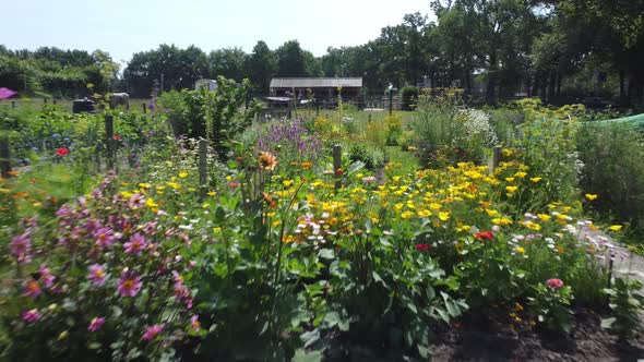 Flower Garden botanical Aerial flying over flowers and butterflies