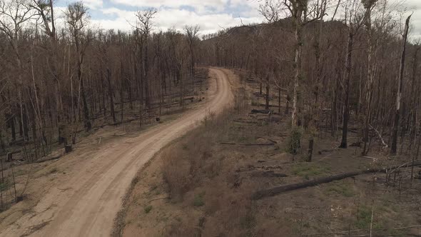 Drone Aerial - Australian Bushfire Burnt Landscape 4