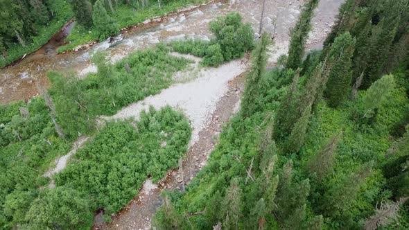 Aerial Footage of Coniferous Forest Trees on the Mountain Hills.