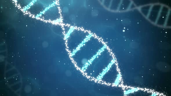 Molecular Human Dna 