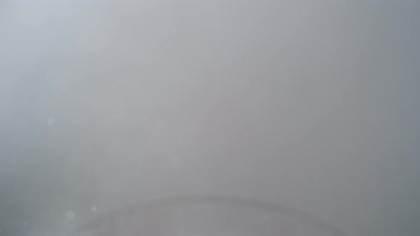 Camera follows cooking lobster in boiling water. Slow Motion. alt