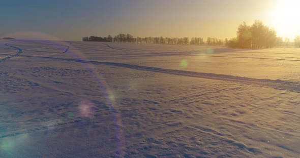 Aerial Drone View of Cold Winter Landscape with Arctic Field Trees Covered with Frost Snow and