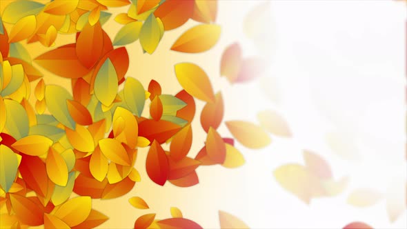 Colorful Motion Leaves