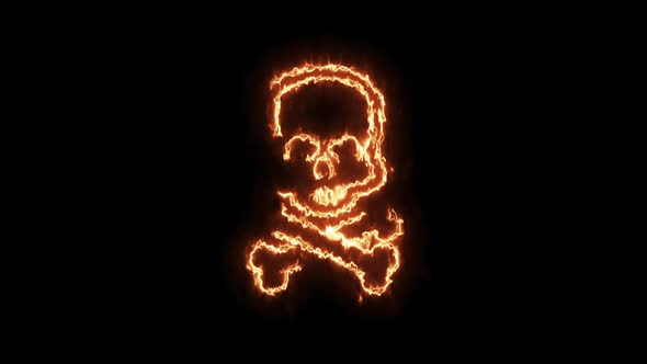 Fire Burning Skull alt