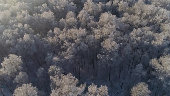 Winter Landscape in Countryside