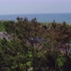 Blue Car Driving along Coastal Road - VideoHive Item for Sale