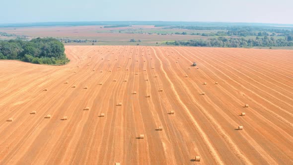 Hay Bales on Yellow Wheat