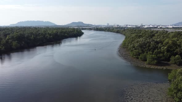 Fly across dark river with mangrove tree.