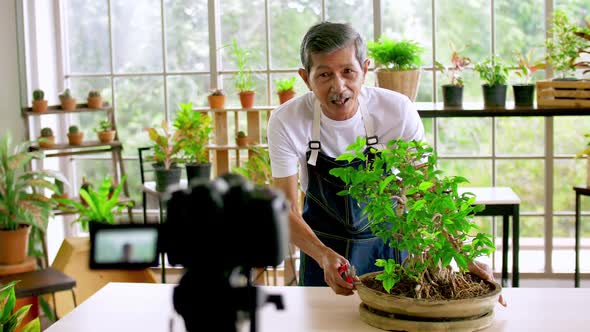 Senior gardener man selling beautiful plants on social media by streaming live from his shop.