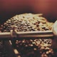 Fragrant Coffee Beans in the Roaster - VideoHive Item for Sale