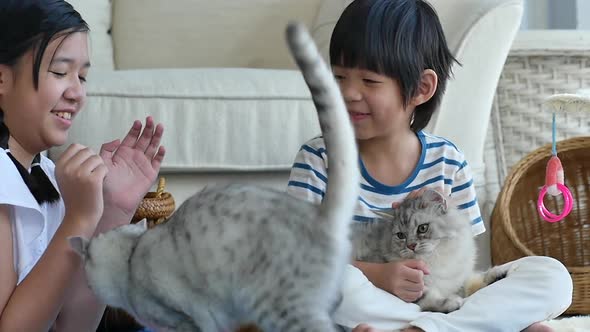 Asian Children Playing Persian Cat In Living Room