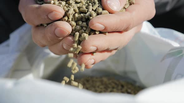 Granulated Feed in the Hands of a Farmer Close-up