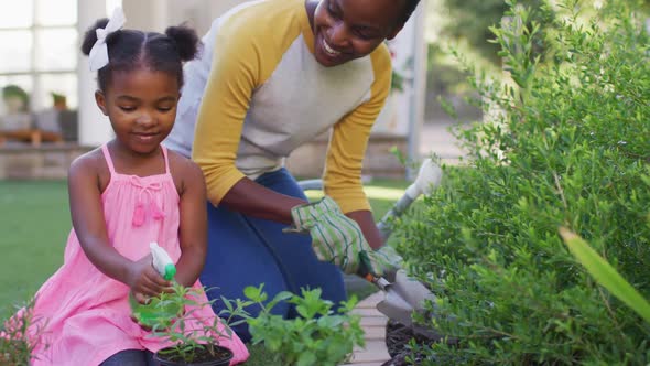 Happy african american mother and daughter gardening, planting and watering plants in garden