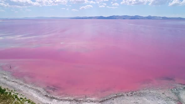 Rinsing aerial view of the Great Salt Lake in pink from halophilic bacteria