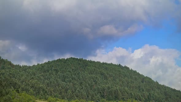 Cloudy Weather in Forest Time Lapse