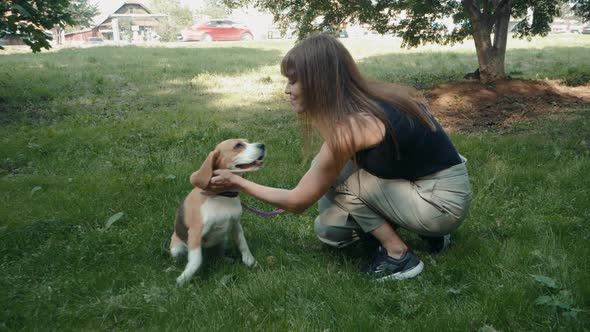 Dog Walker with Dogs Enjoying in Park. Professional Servise Training in Forest and City Streets