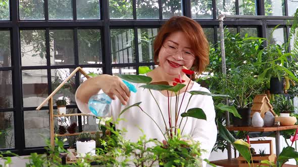 Elderly Asian woman are watering and looking after the trees in the garden