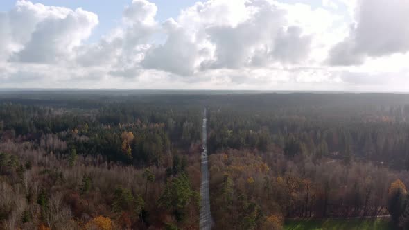 Aerial autumn view over a wide forest with a straight street with driving cars. 4K drone footage fly