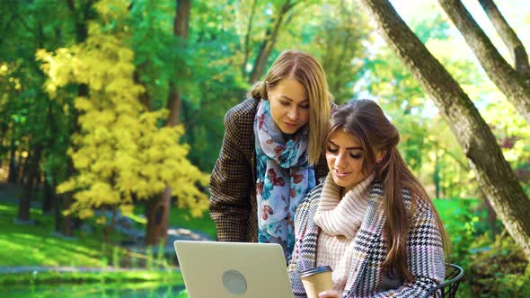 Bloggers in Park Using Laptop and Discussing Strategy