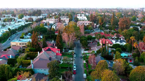 Scenic Los Angeles area with nice houses. Neighborhood; suburbs. Aerial