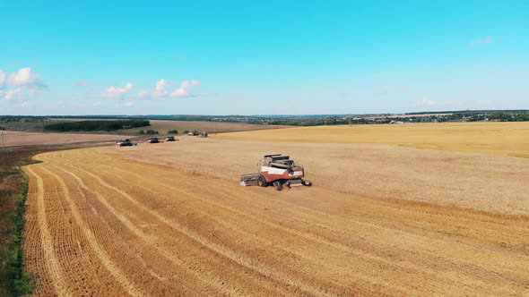 Farming Harvester Plows Field. 