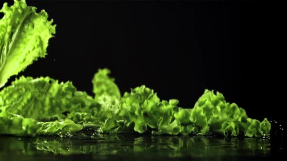 Lettuce Leaves Fall on the Table with Splashes of Water
