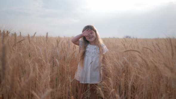 Rural Pretty Cute a Little Girl in White Dress Tired of Playing in a Ripe Wheat Field Among Ears of