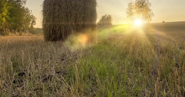 Flat Hill Meadow Timelapse at the Summer Sunset Time. Wild Nature and Rural Haystacks on Grass Field