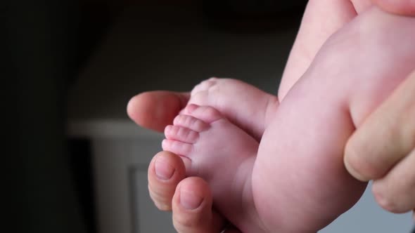 Father Holding Baby Feet in Hands