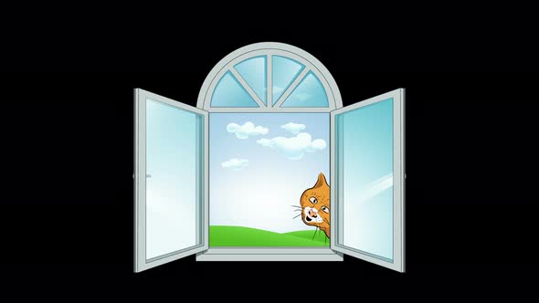 Window With Cat