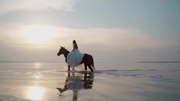 A Beautiful Girl with Long Hair in a White Dress Riding a Horse Walks Through the Water at Sunset