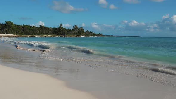 Beach in the Caribbean