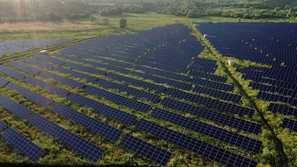 Aerial Top view on Solar Power Station in Green Field on Sunny day. Drone fly over Solar Farm.