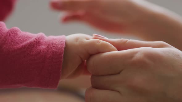 Close Up of a Newborn Baby Hand Holding the Finger of a Parent