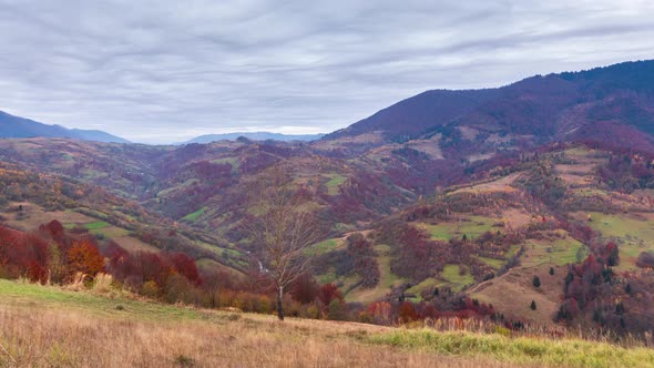 Time Lapse Beautiful Autumn Nature and Mist Foggy Flows Around the Mountains in the Morning with