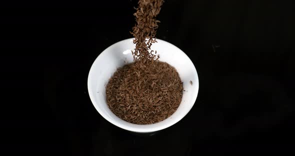 Caraway or Cumin Seeds, carum carvi, Seeds falling into a Bowl against Black Background