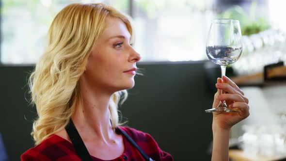 Portrait of waitress holding wine glass