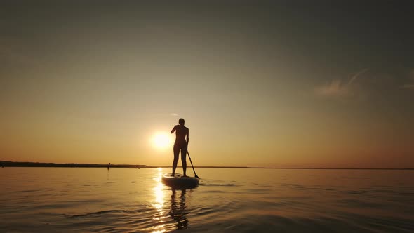 Wide View of Siluet of Woman Standing on SUP Board and Paddling Through Shining Water Gold Surface