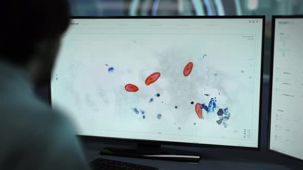 Scientist Performing Microscopic Study On Paramecium Via Digital Software alt