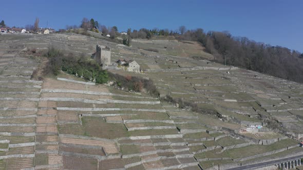 Aerial of old buildings surrounded by large vineyard in rural Switzerland